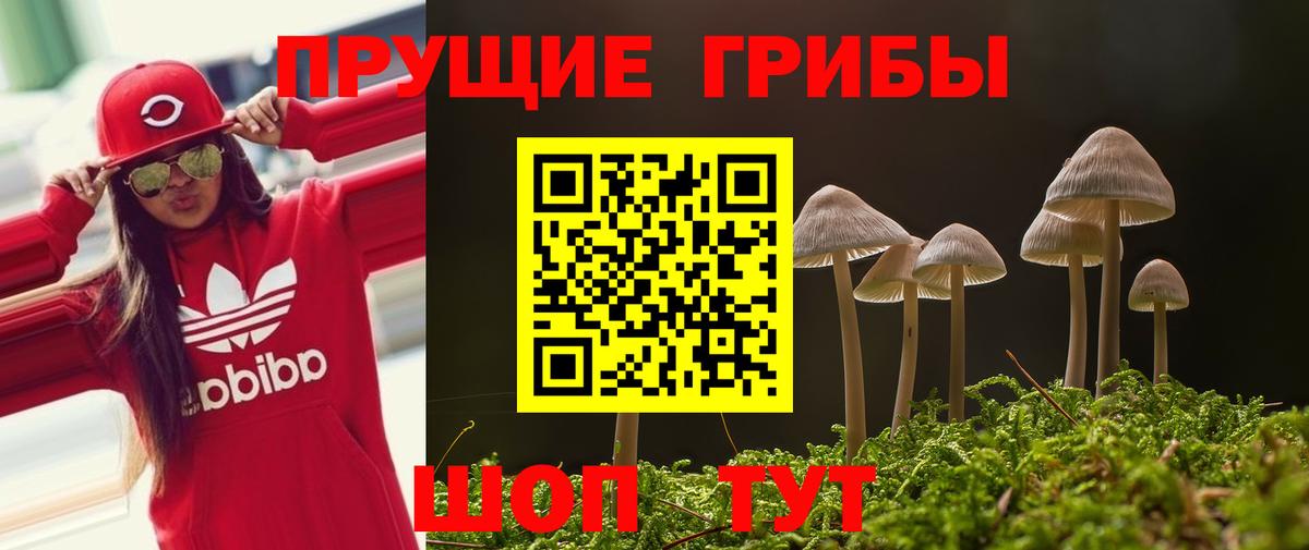 Сергиев Посад  Галлюциногенные грибы GOLDEN TEACHER  Вход с VPN  Галлюциногенные грибы Cubensis 