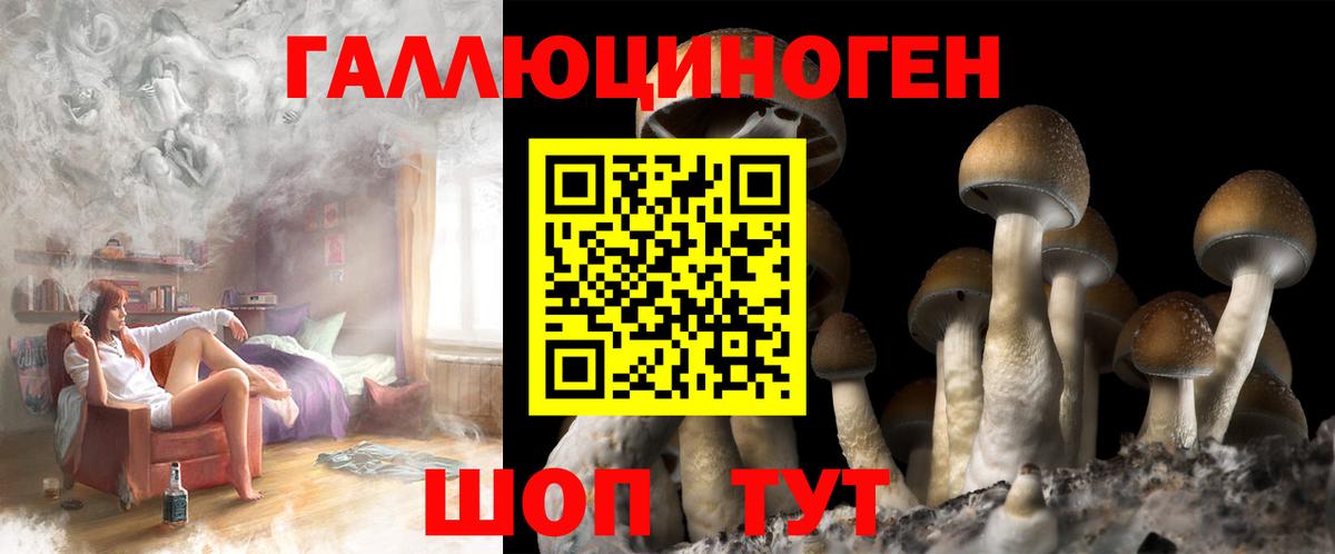 Псилоцибиновые грибы ЛСД Сергиев Посад